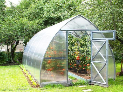 Greenhouses – Make good quality buys usually post thumbnail image
