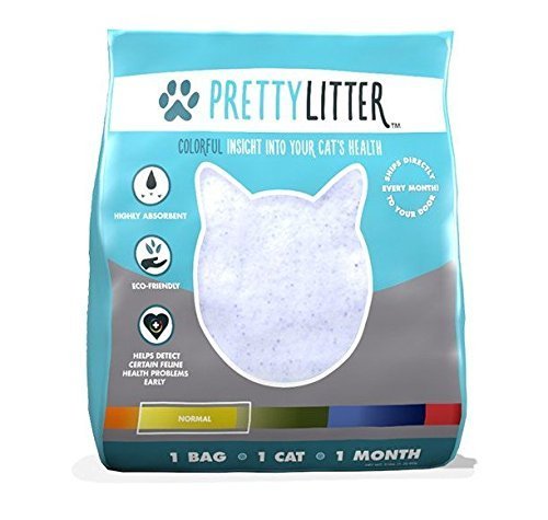 Exploring the Variety of Pretty Litter Options for Your Cat’s Needs post thumbnail image