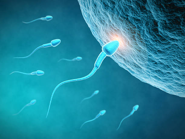 Is There Any Way to Reverse Low Sperm Count? post thumbnail image