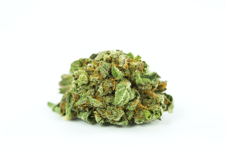 Actions To Consider To Buy Weed Online post thumbnail image
