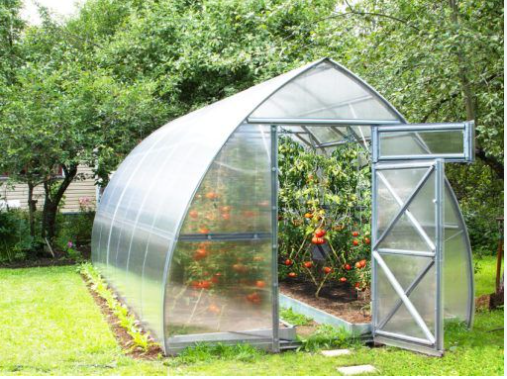 The Benefits Of Greenhouse Gardening post thumbnail image