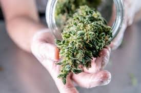 Cheap Ounce Deals in Richmond: A Guide to Budget-Friendly Cannabis post thumbnail image