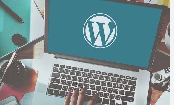 Hire a Expert Freelance WordPress Developer for Your Task post thumbnail image