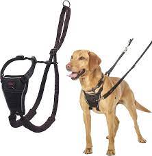 No-Pull Harness for Small Breeds: Keeping Your Little Companion Safe post thumbnail image