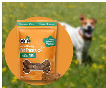 CBD for Canines: The Power of Treats post thumbnail image
