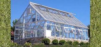 Greenhouse Marvels: A Haven for Plant Enthusiasts post thumbnail image
